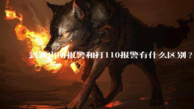到派出所报警和打110报警有什么区别?