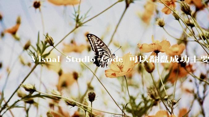 Visual Studio Code 可以翻盘成功主要是因为什么？