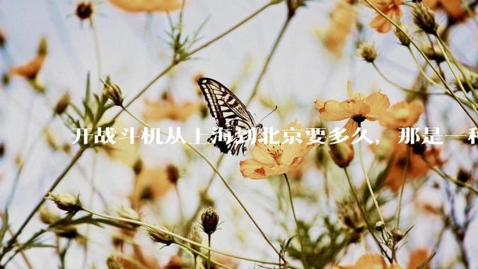 开战斗机从上海到北京要多久，那是一种什么样的体验？