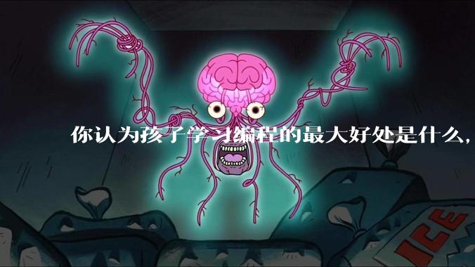 你认为孩子学习编程的最大好处是什么，等级考试有用吗?