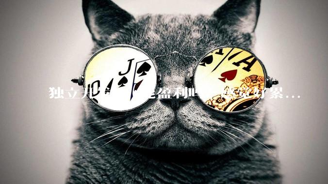 独立开发***能盈利吗？感觉好累...