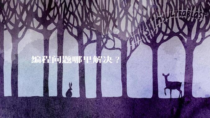 编程问题哪里解决?